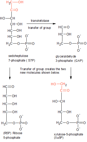 Carbon